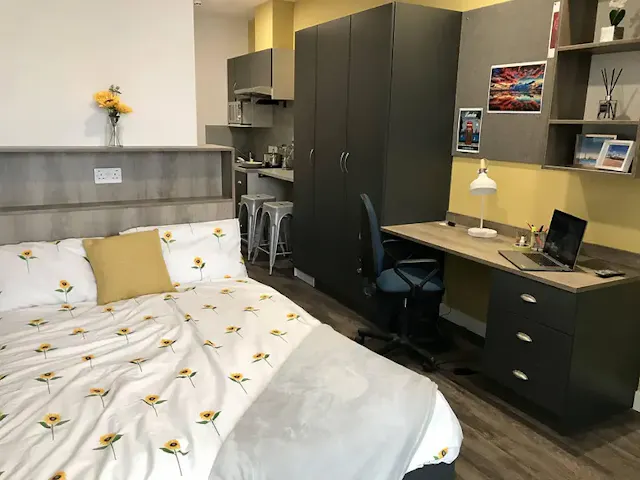 Premium Studio room image 1