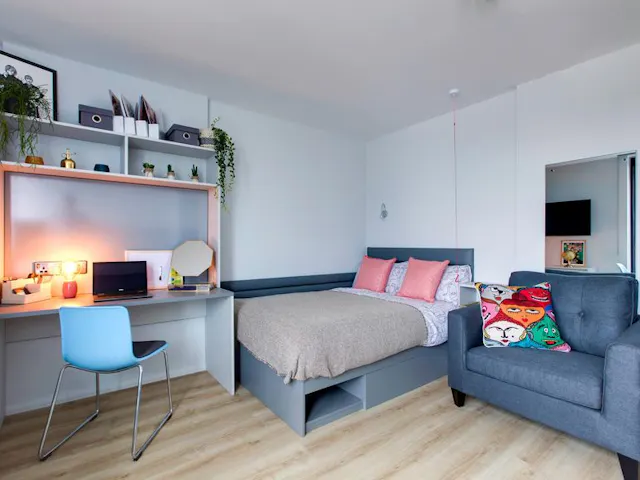 Deluxe Studio room image 1