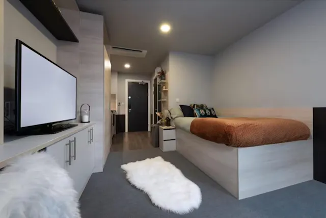 Deluxe Studio room image 1