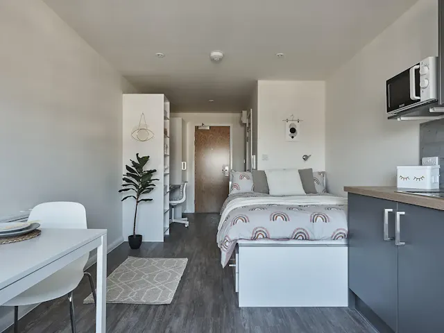 Premium Studio (Floors 1 & 2) room image 1