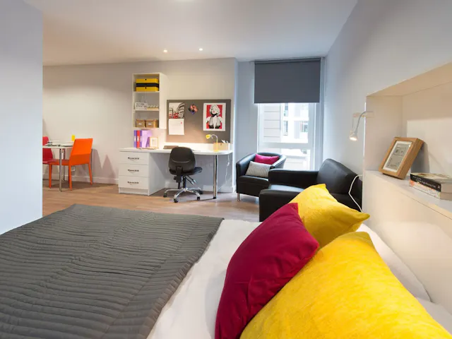 Premium Studio room image 1