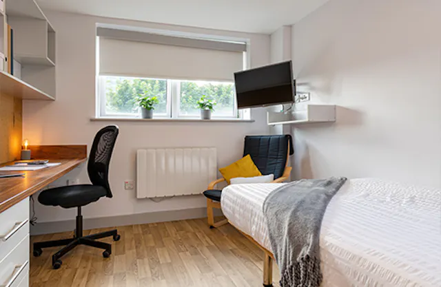Premium Twodio room image 1