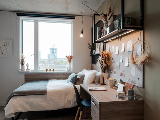 Premium room image 2