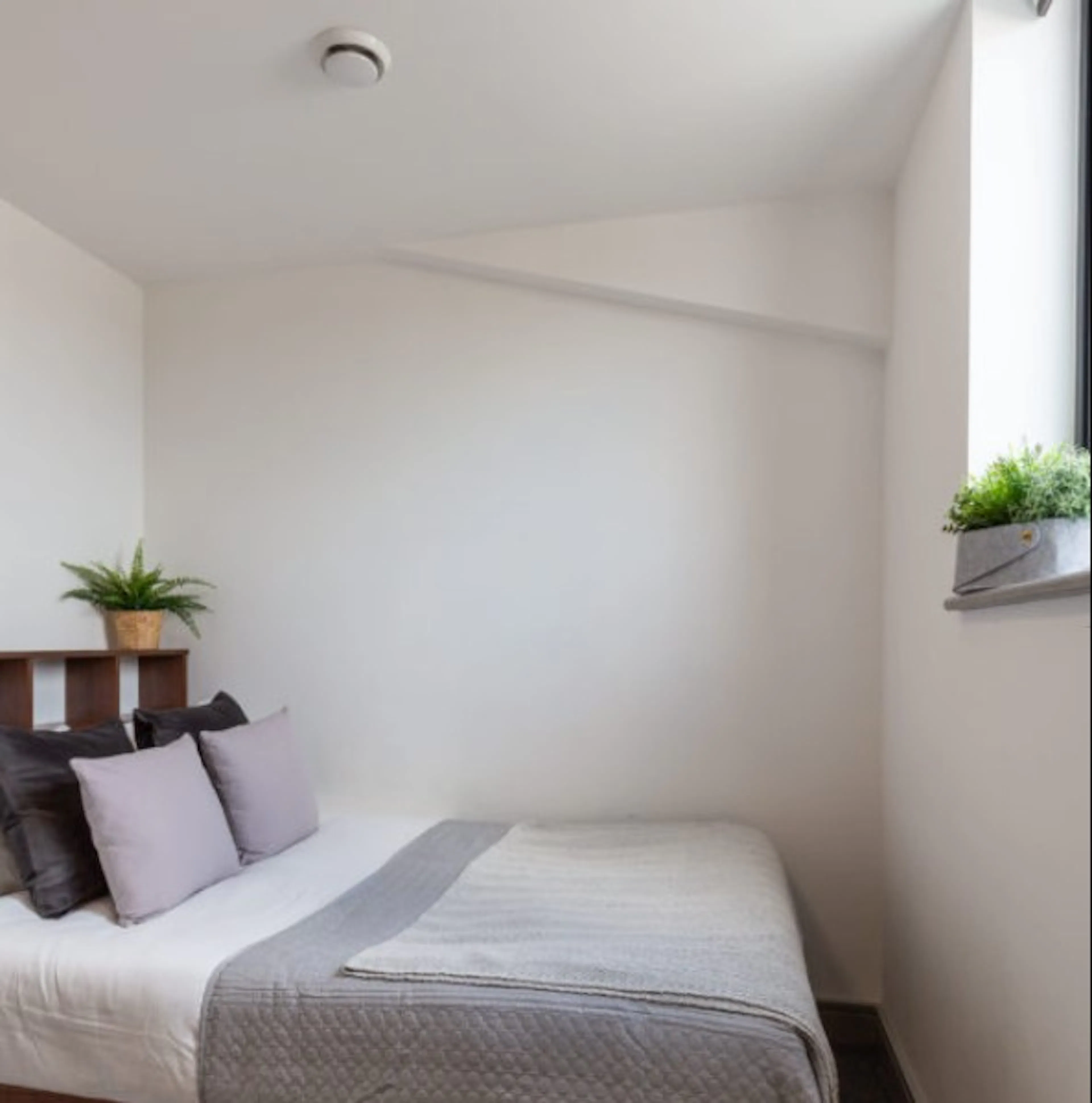 Premium ROOM 3