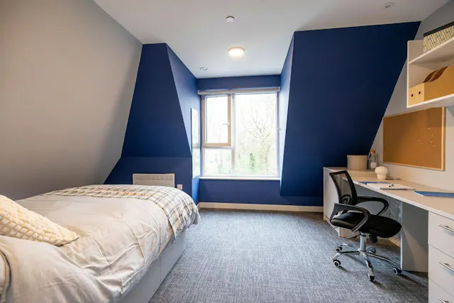 Deluxe Twodio room image 2
