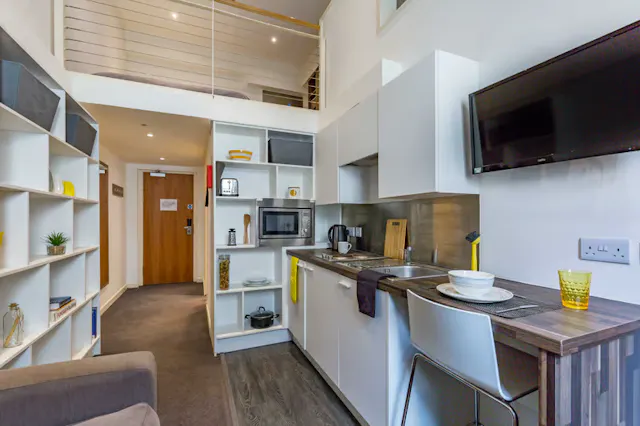 Premium Split Level Studio room image 3