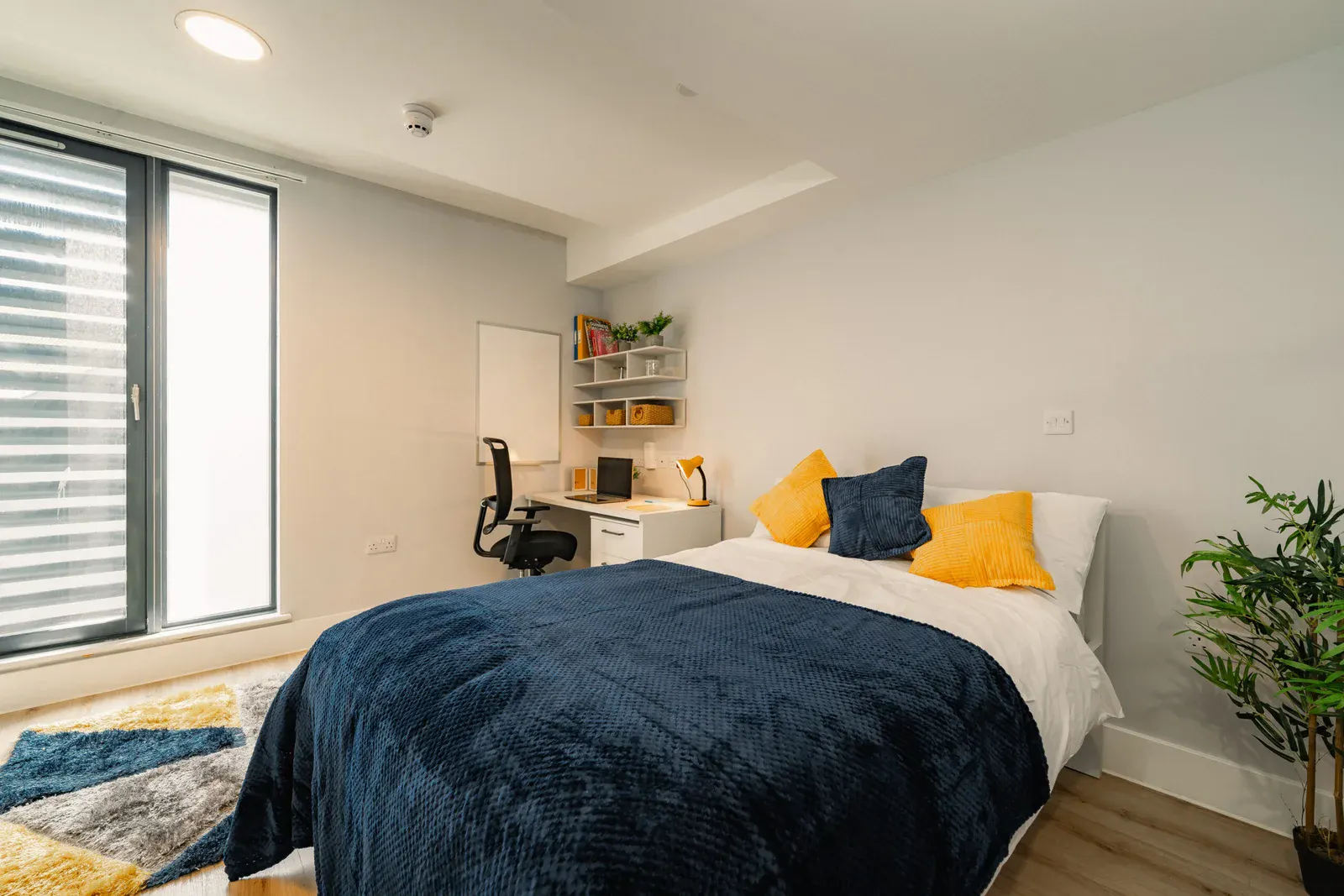 Penthouse Studio (Sea/Harbour View)
