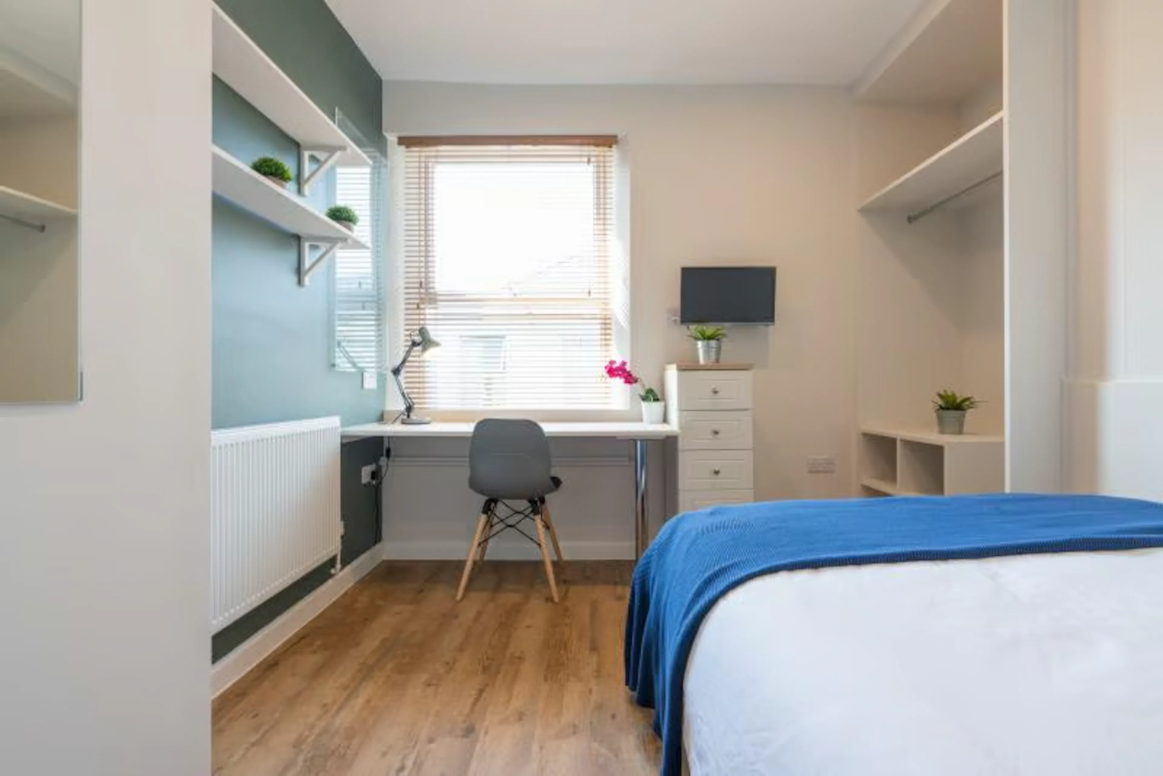 8 Bedroom Apartment ROOM 2