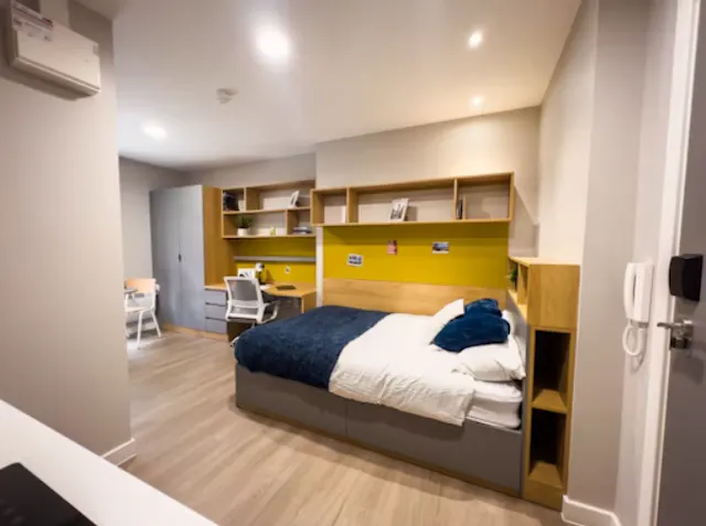 Studio Bronze Plus room image 1