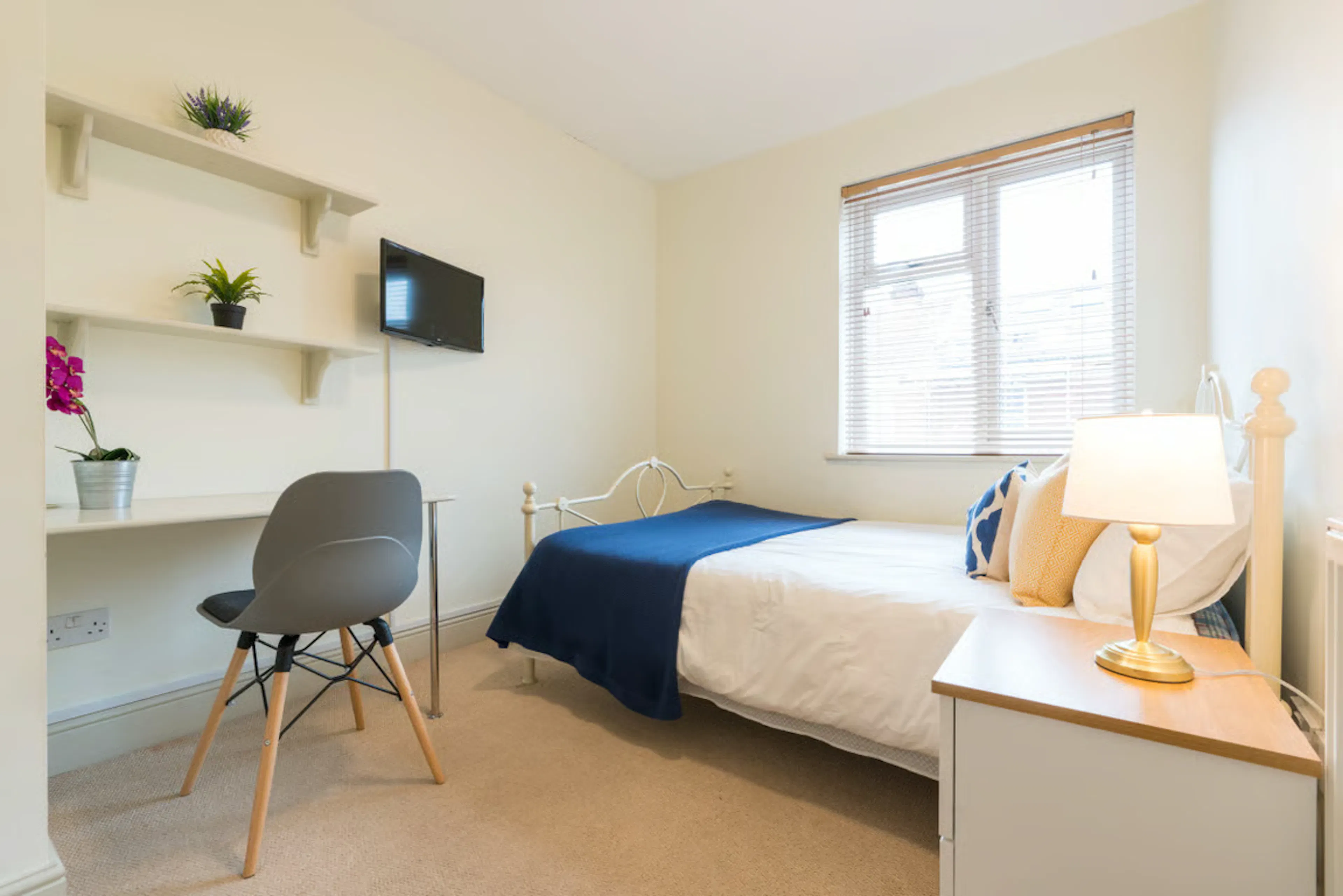 7 Bedroom Apartment ROOM 3