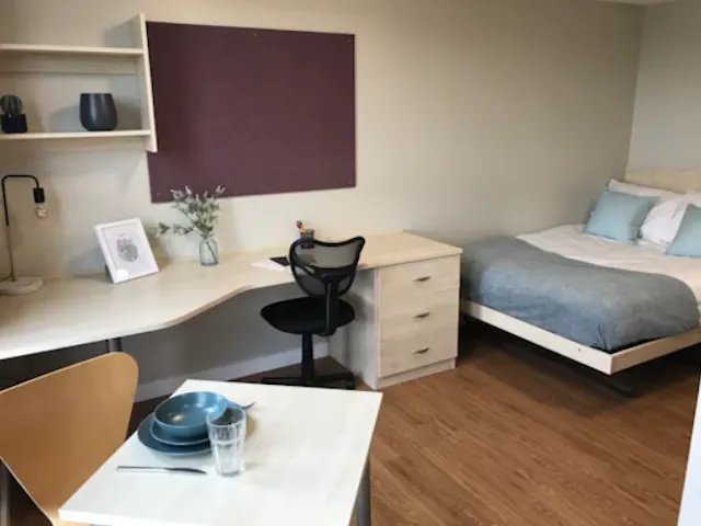 Studio Gold Plus room image 1