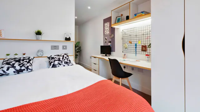 Deluxe Plus En-suite room image 2