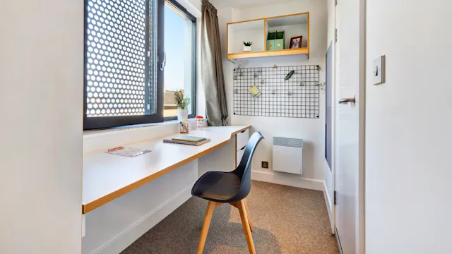 Platinum Plus En-suite room image 4