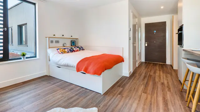 Studio Platinum Plus room image 2