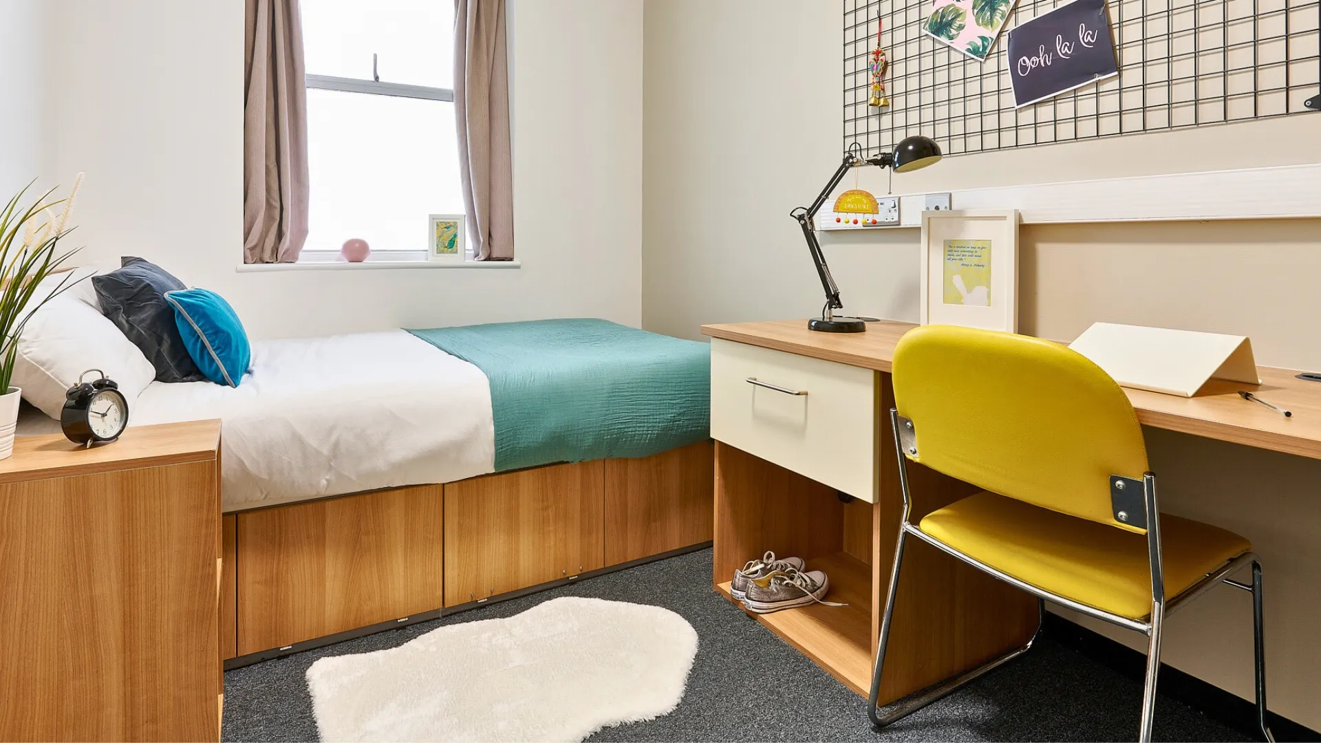northernhay-house-exeter-Classic Shared Apartment