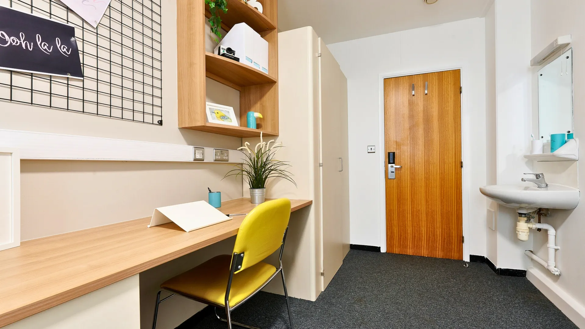 Classic Shared Apartment