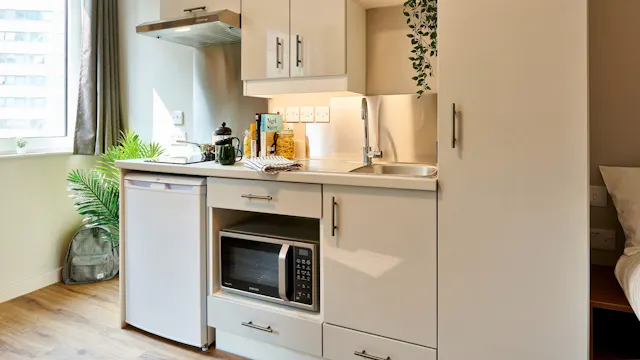 Penthouse Plus Studio room image 2