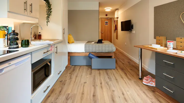 Penthouse Studio room image 2
