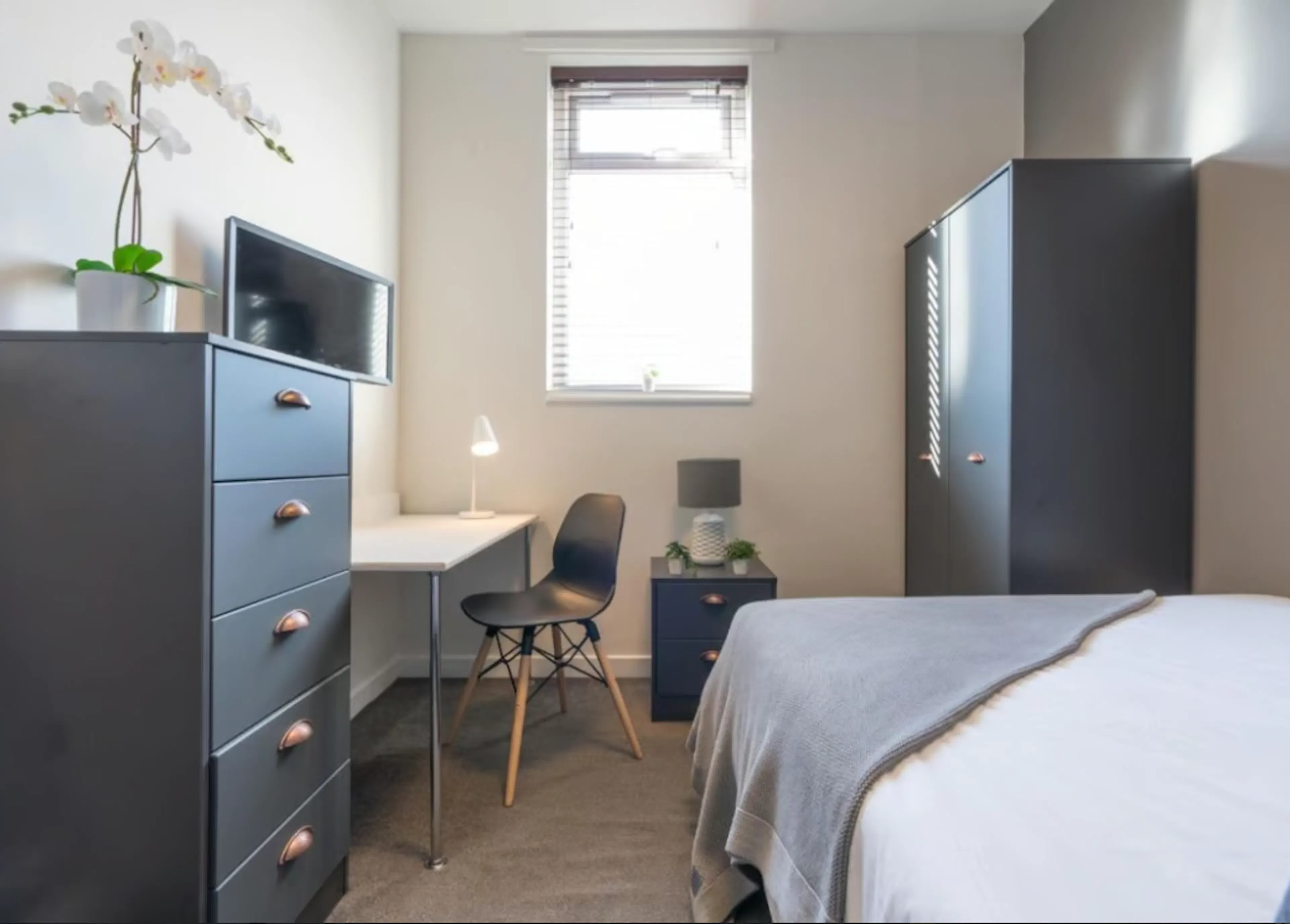 6 Bedroom Apartment ROOM 2
