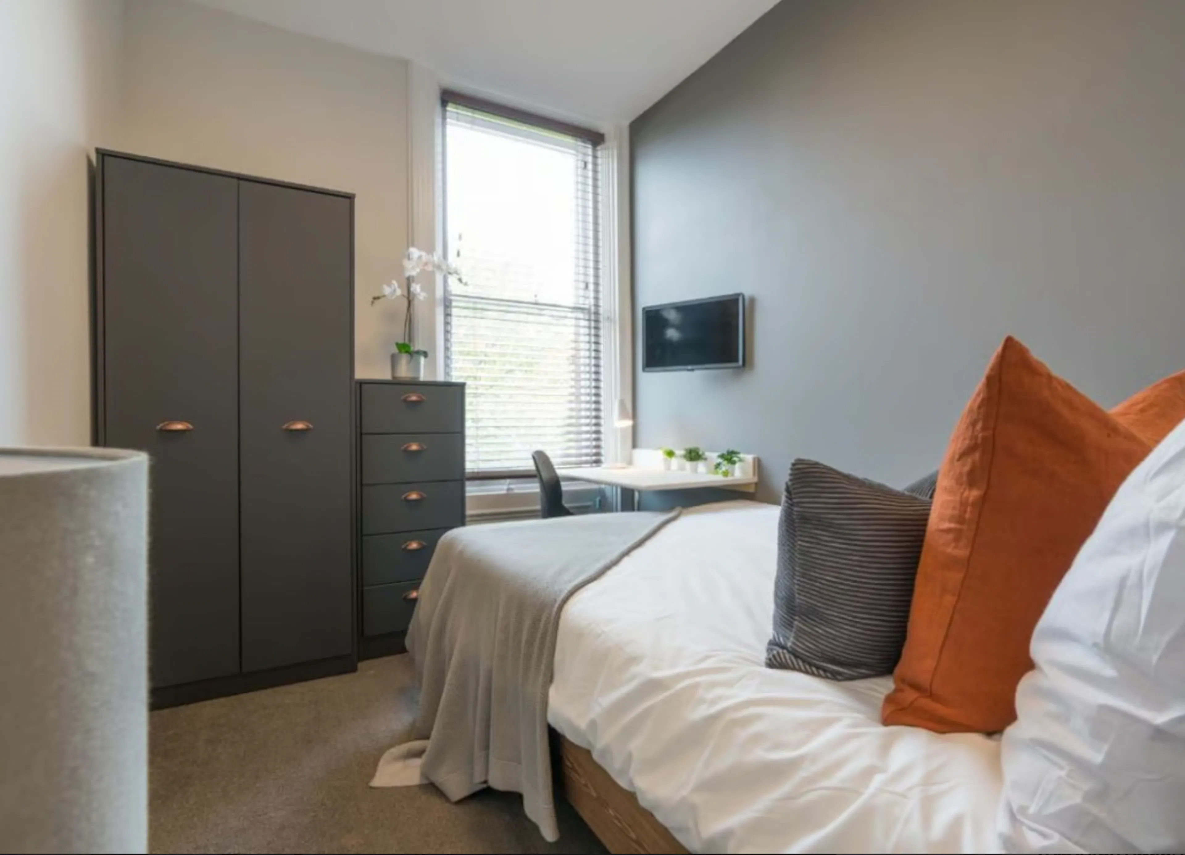6 Bedroom Apartment ROOM 3