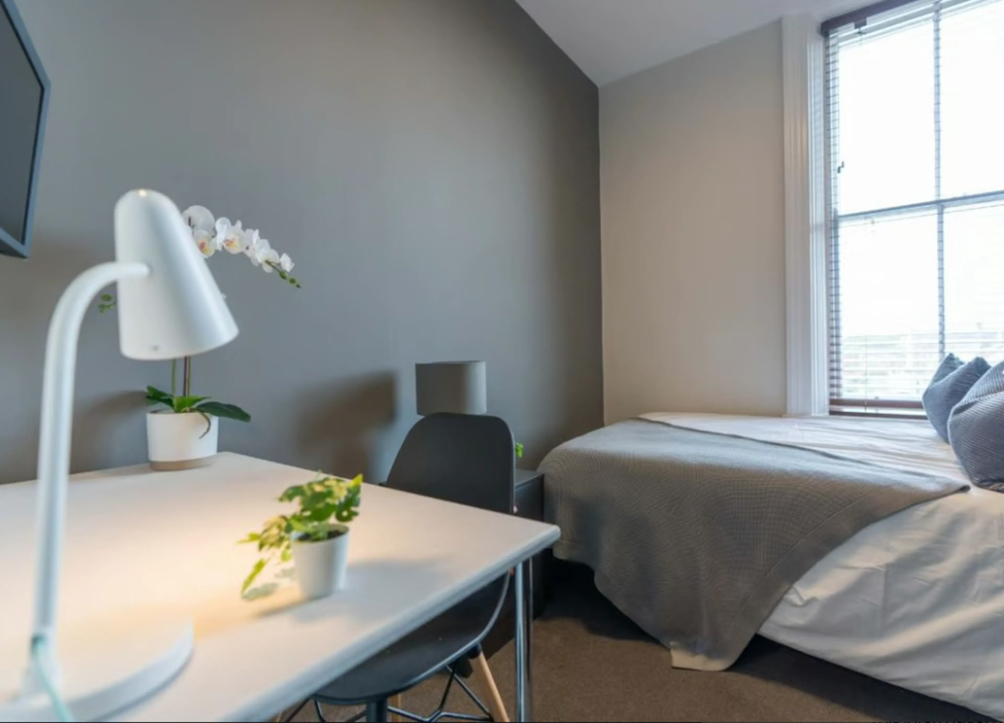 6 Bedroom Apartment ROOM 4