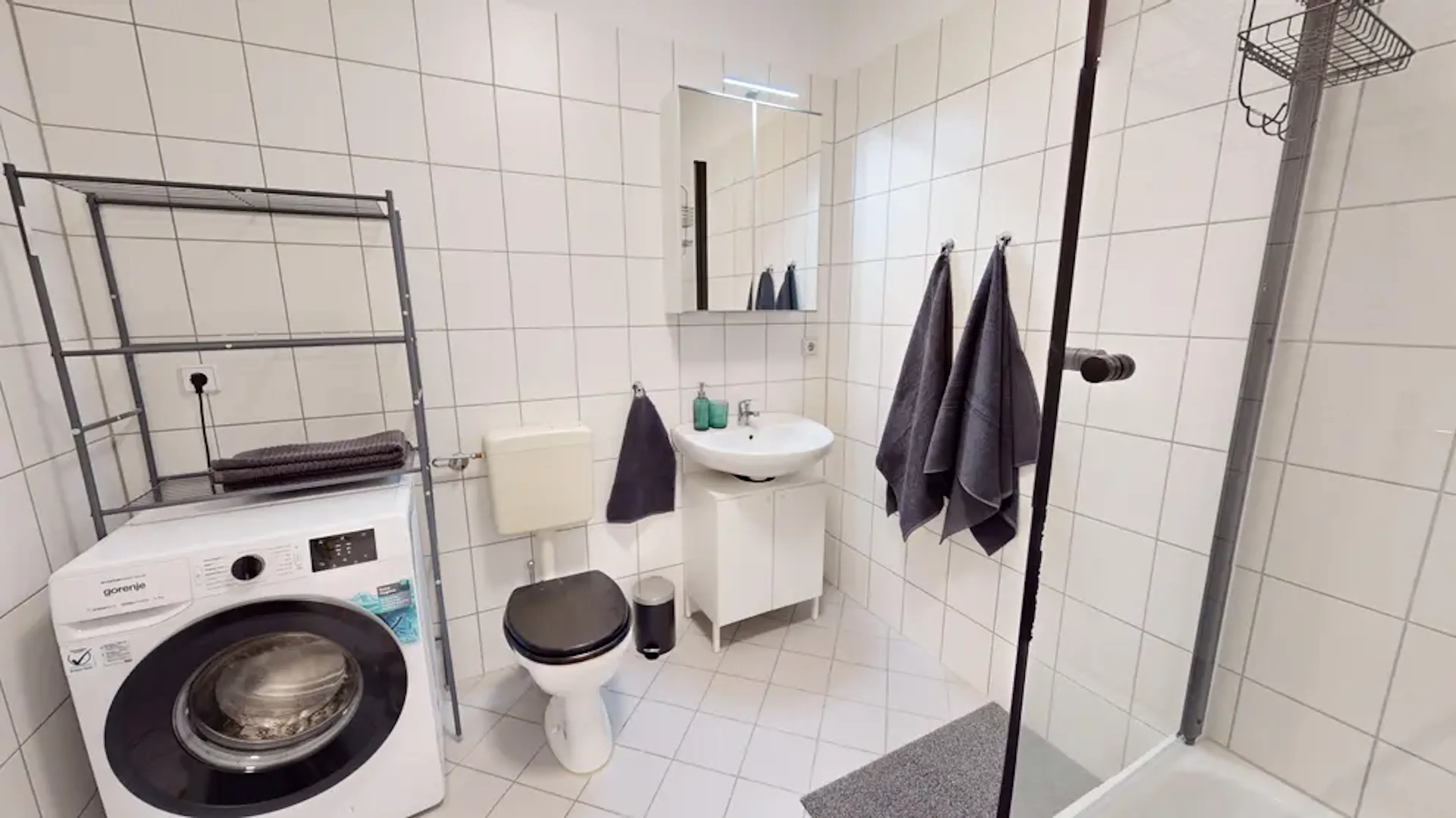 One Bedroom Apartment BATHROOM 2