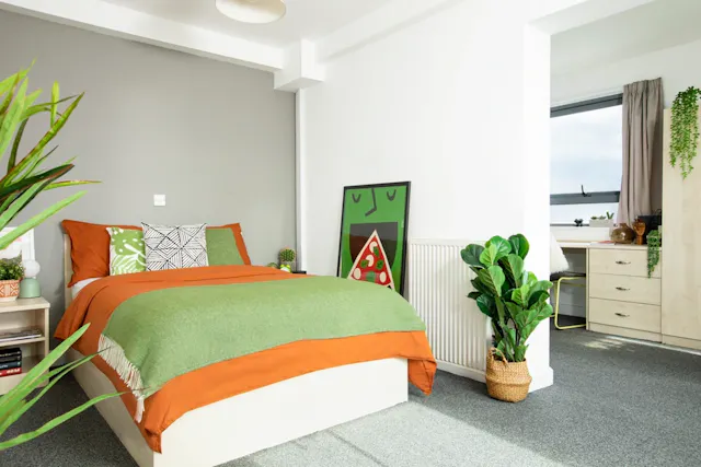 Extra Large Highest Double Studio room image 1