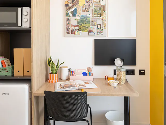 Single + With Terrace room image 3