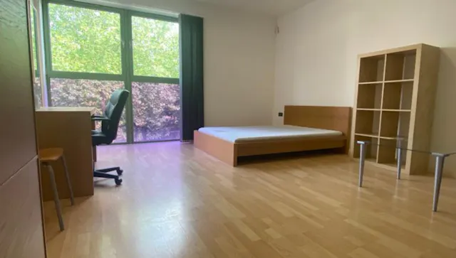 Premier room image 1