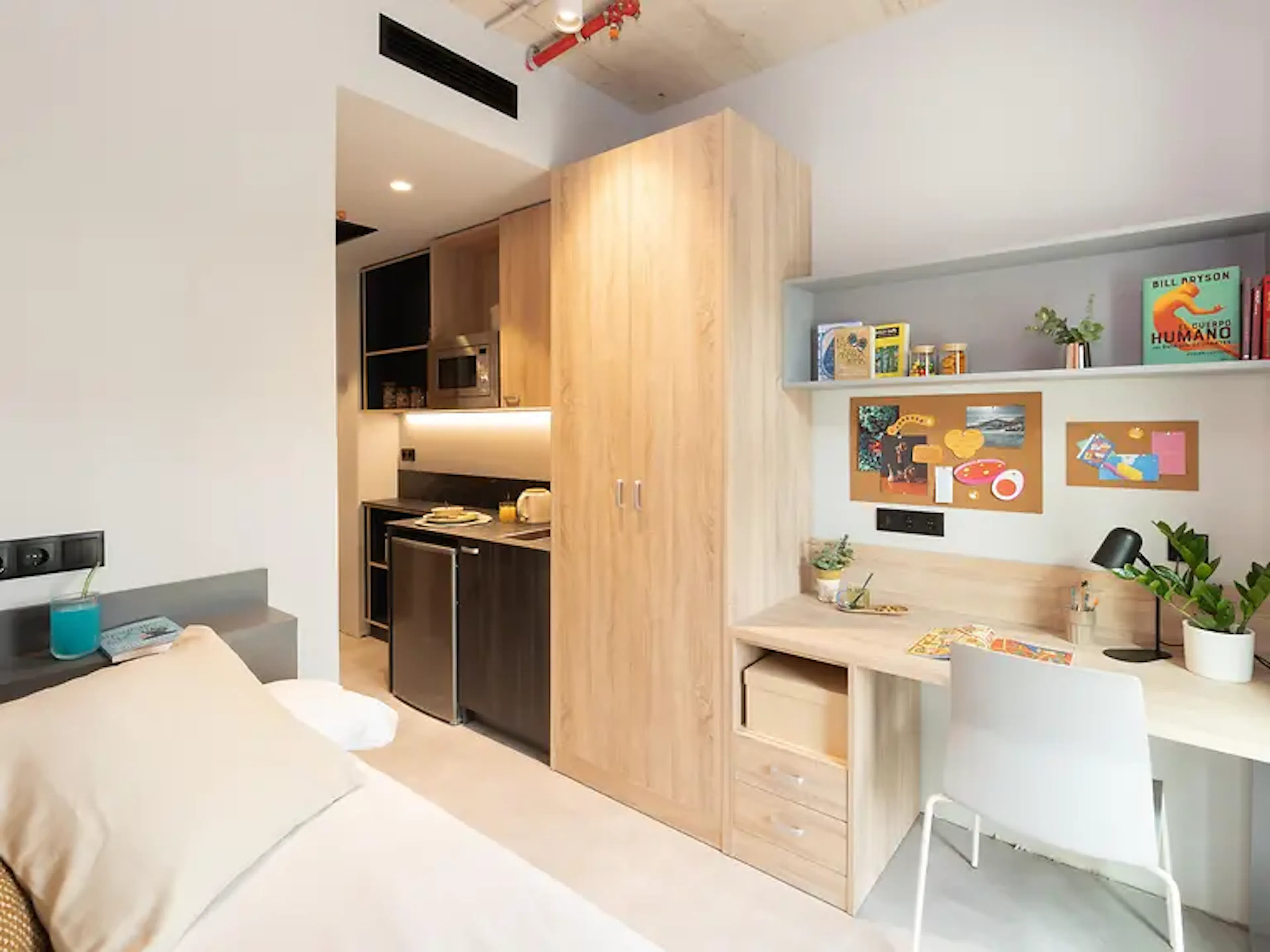 Individual Room ROOM 3