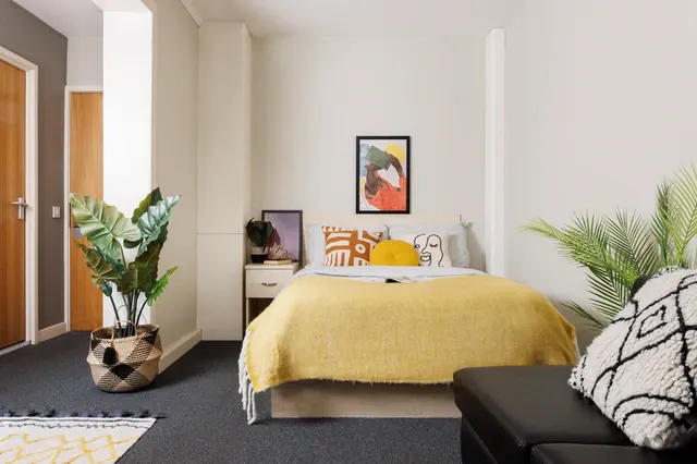 Studio Extra Large Standard Double room image 1