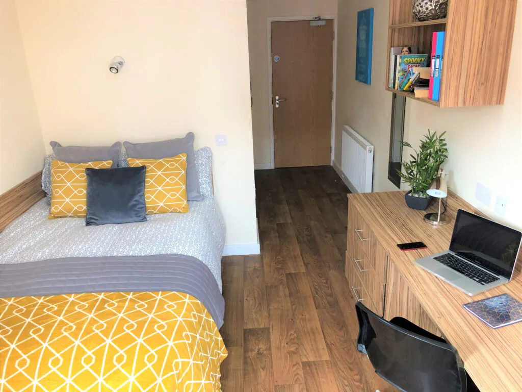 Deluxe Ensuite(UK Guarantor not required)
