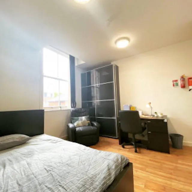 Large Premier room image 2