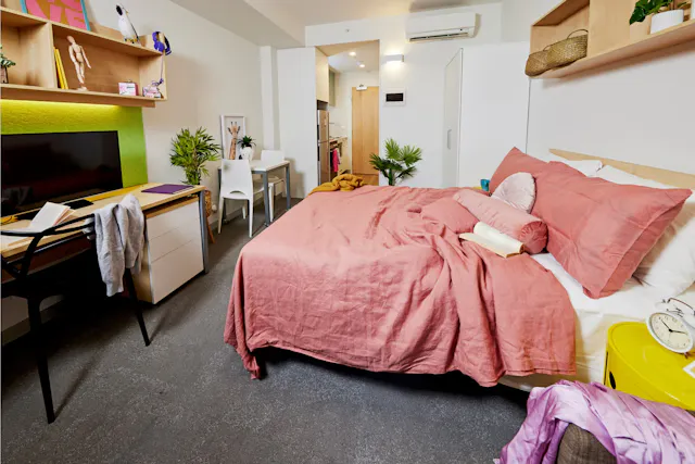 Ultra Studio room image 1