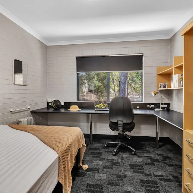 5 Bedroom Apartment South Deluxe room image 2