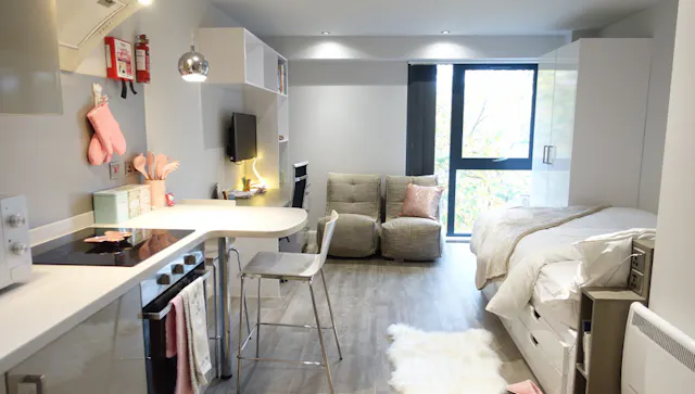 Standard Plus Studio room image 1