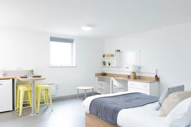 Premium Studio (Rosedale Court) room image 4