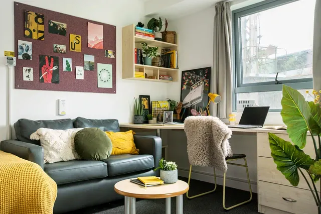 Large Standard Double Studio room image 2