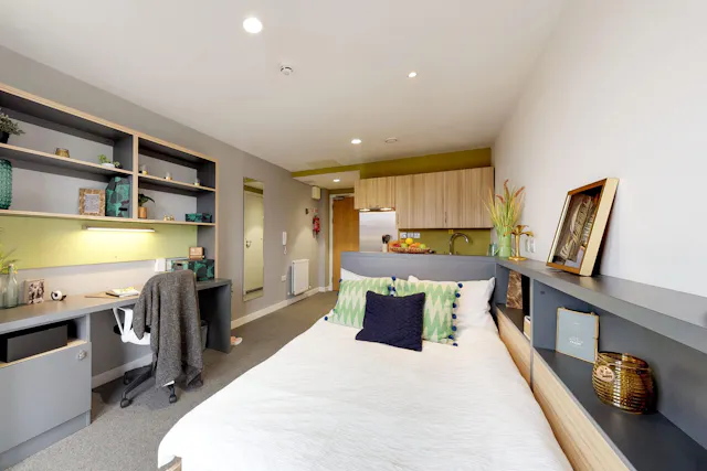Deluxe Studio room image 2