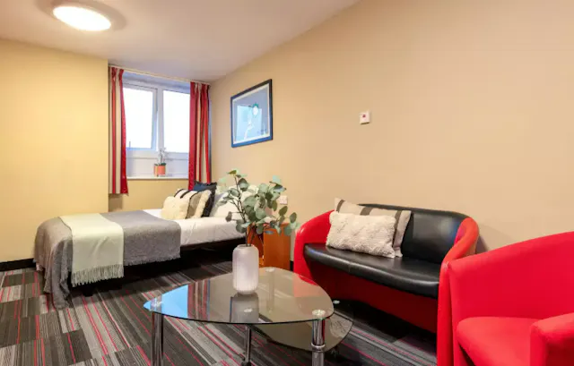 Superior Double Studio room image 15