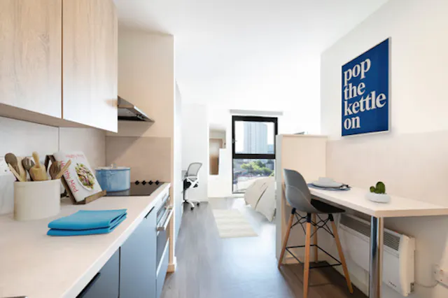 Silver studio Penthouse level room image 2