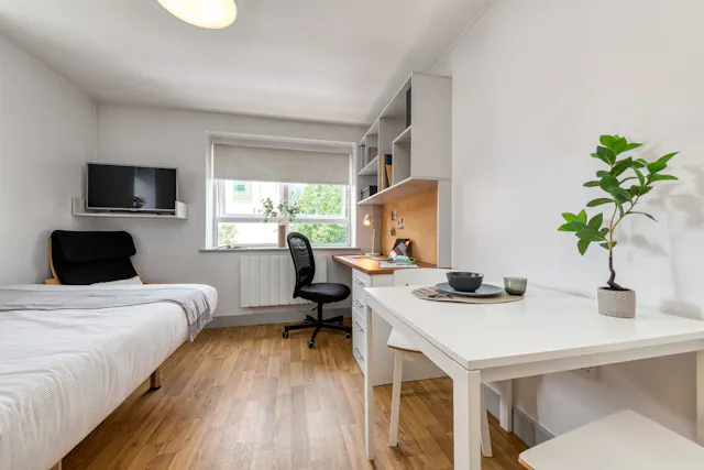 Premium Plus Studio room image 2