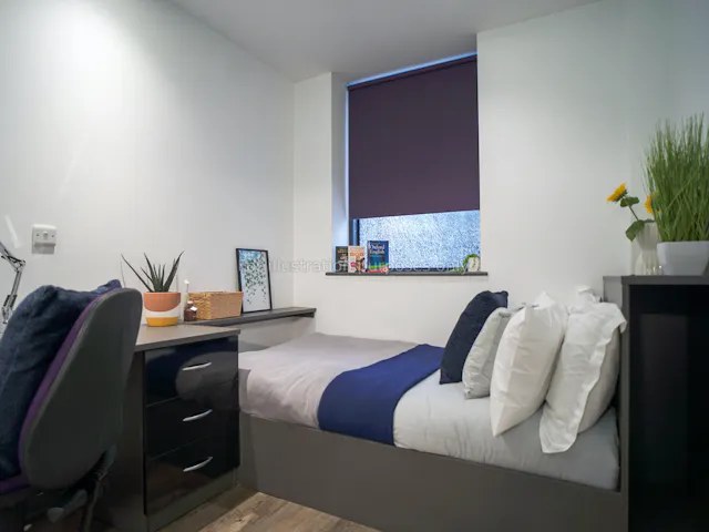 Standard Studio Plus room image 1