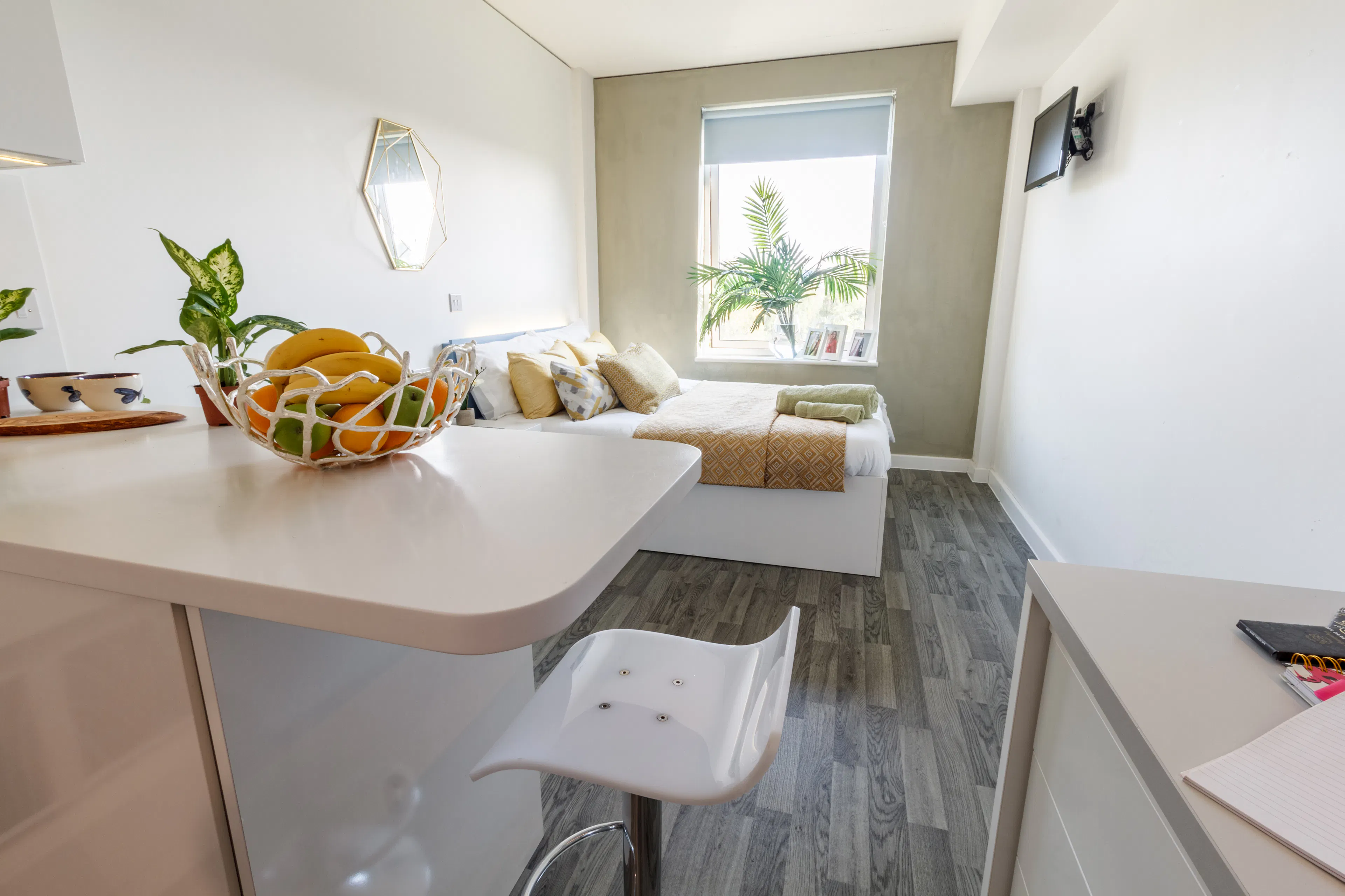 Standard ROOM 1