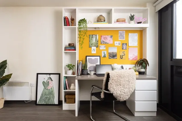 Studio Large Standard Double room image 2