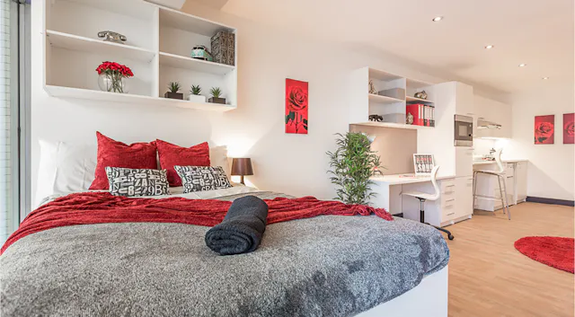 Studio Sapphire Plus room image 1