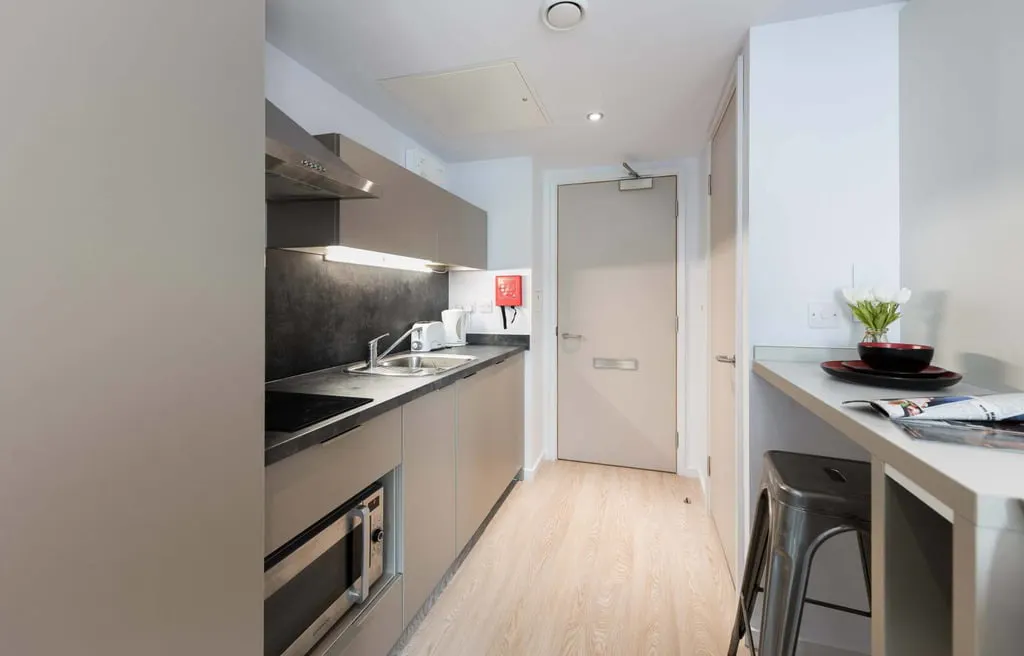 Silver Studio KITCHEN 2