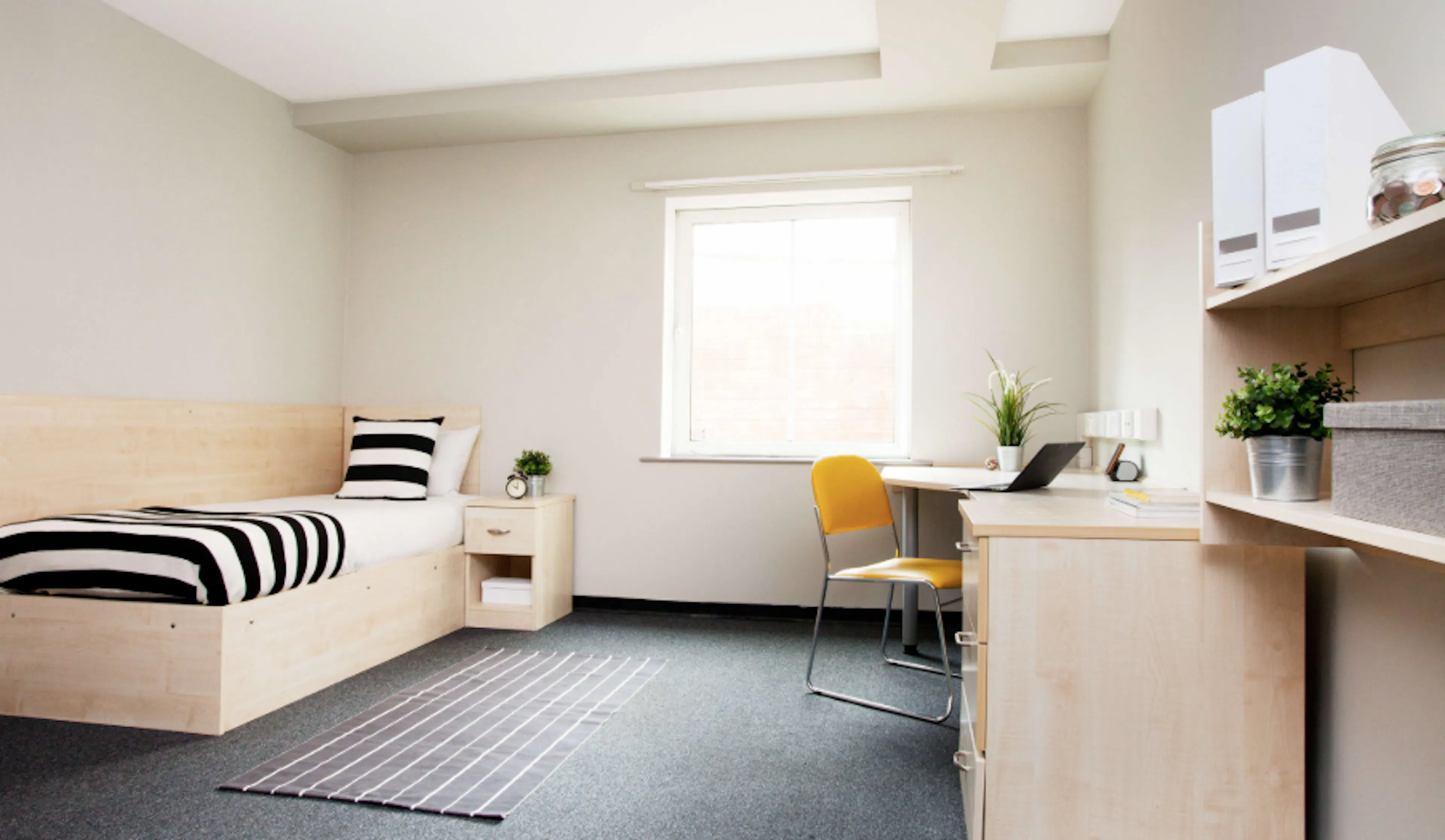ROOM ROOM 3