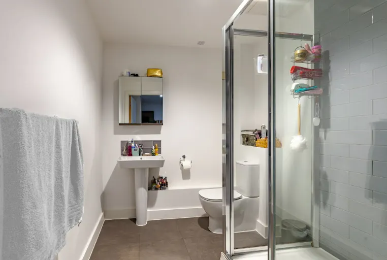 true Accessible Studio BATHROOM 2