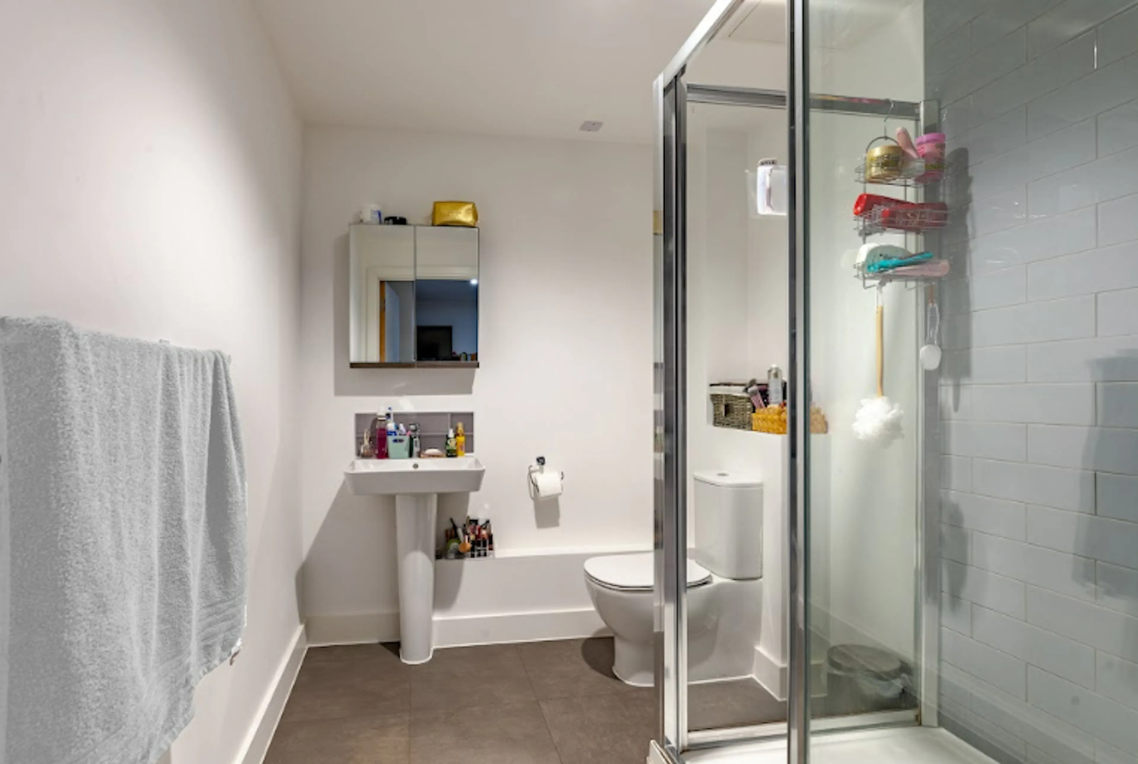 true Accessible Studio BATHROOM 2